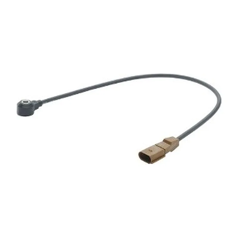 Knock Sensor Vw Passat (3b3, 3b6), 2.0i, 2.3 Vr5